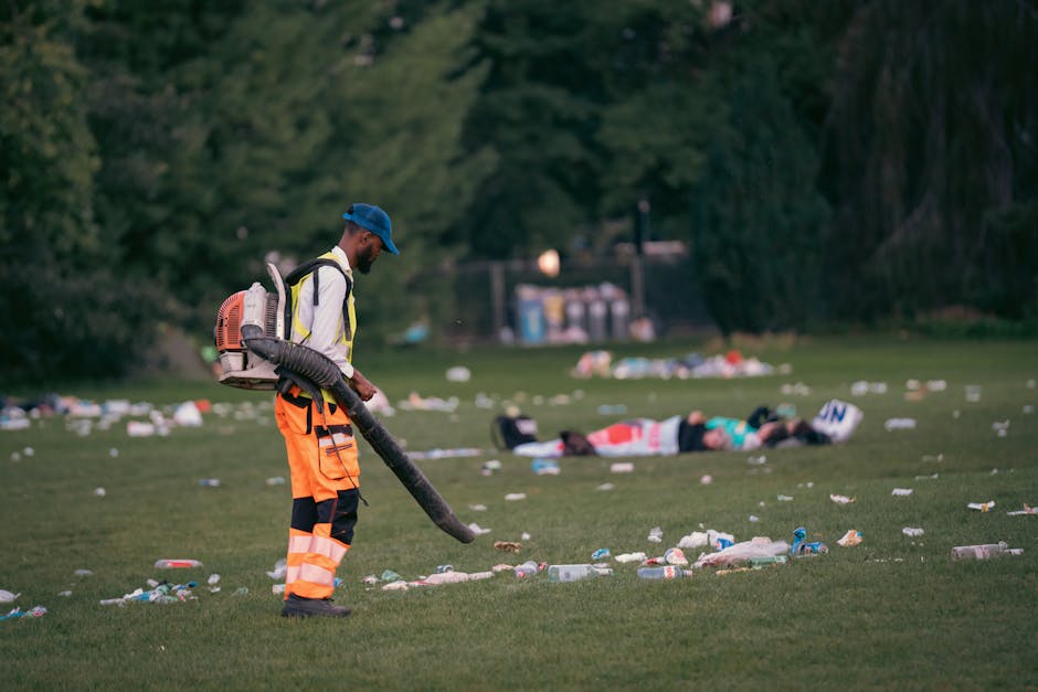 https://wasteremovalcollierswood.co.uk/blog/wandle-park-bulky-rubbish-pickup-rules-and-tips/